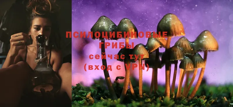 Галлюциногенные грибы Magic Shrooms Лодейное Поле